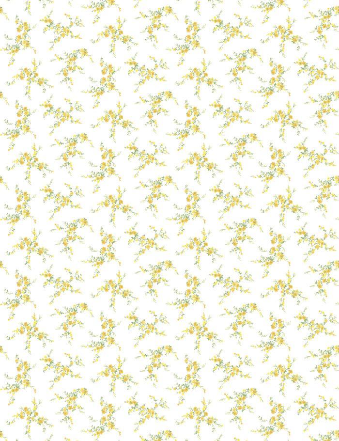 jolene daffodil