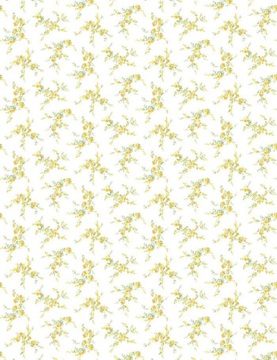 jolene daffodil