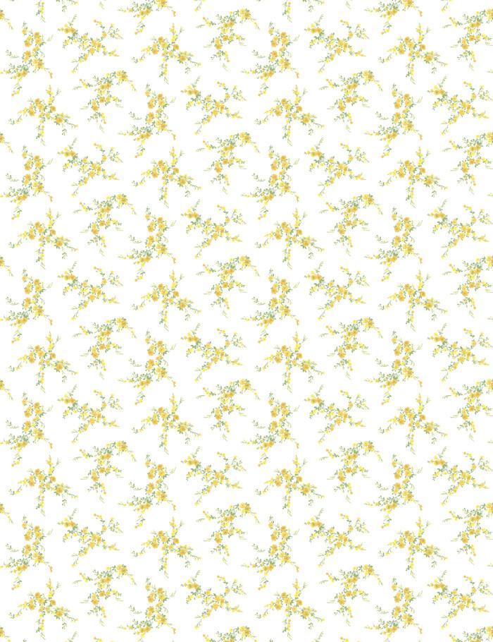 jolene-daffodil