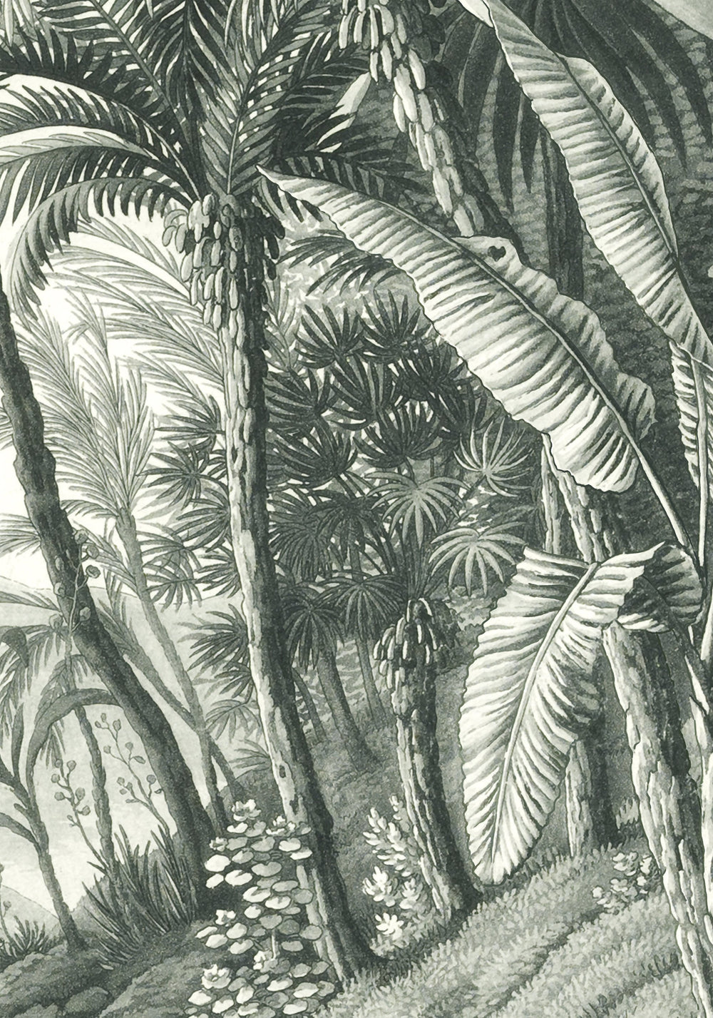 jungle removable mural