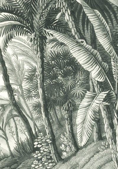 jungle removable mural