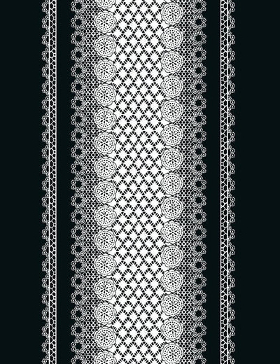 'Lace Front' Wallpaper by Nathan Turner - Onyx