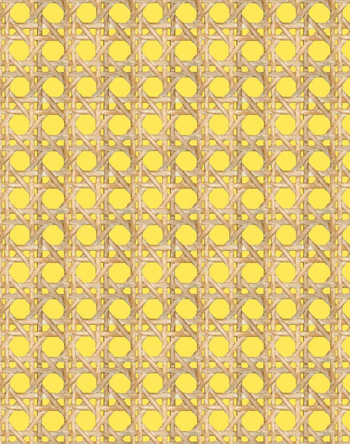 'Faux Large Caning' Wallpaper by Wallshoppe - Daffodil