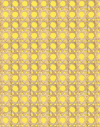 'Faux Large Caning' Wallpaper by Wallshoppe - Daffodil
