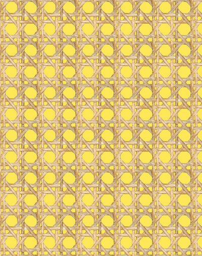 'Faux Large Caning' Wallpaper by Wallshoppe - Daffodil