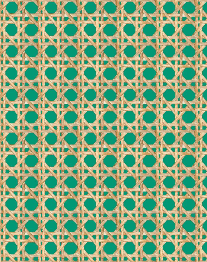 'Faux Large Caning' Wallpaper by Wallshoppe - Emerald