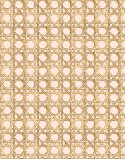 'Faux Large Caning' Wallpaper by Wallshoppe - Peach