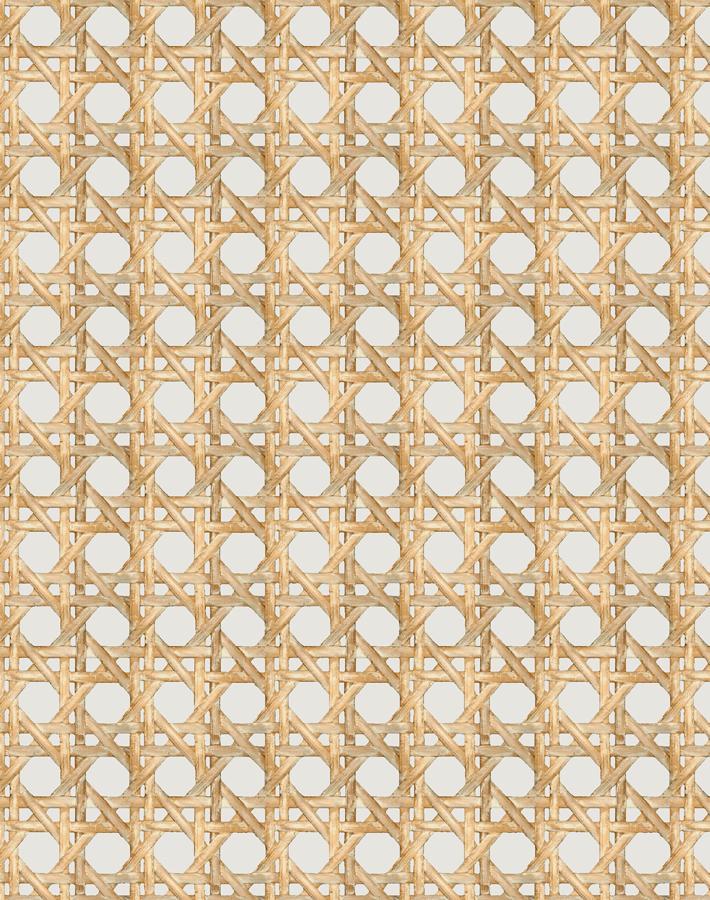'Faux Large Caning' Wallpaper by Wallshoppe - Sand