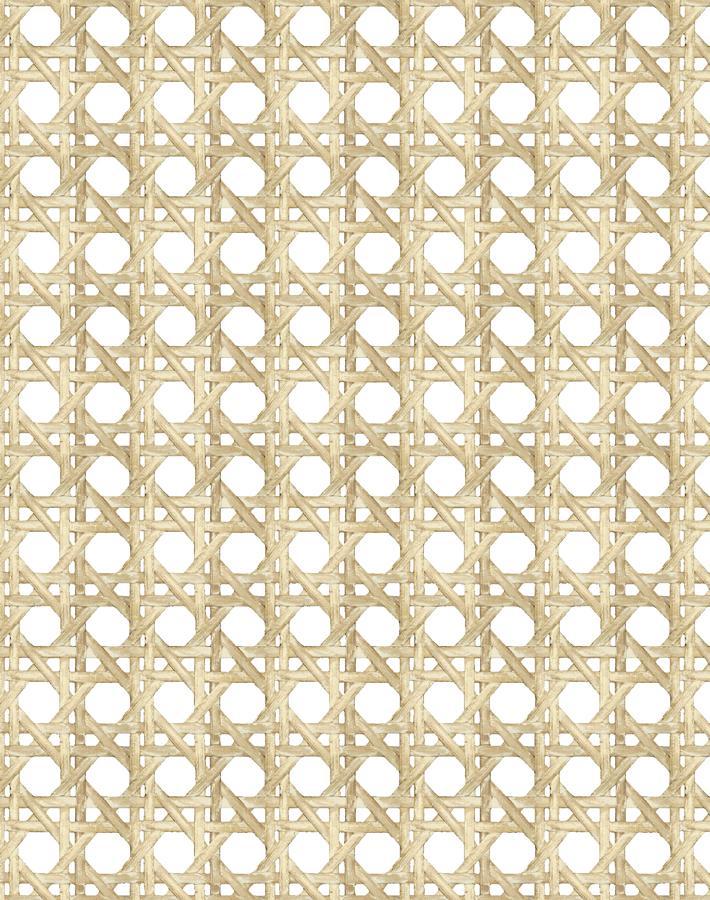 'Faux Large Caning' Wallpaper by Wallshoppe - Sesame