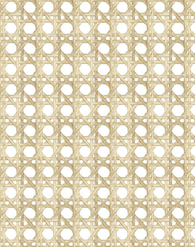 'Faux Large Caning' Wallpaper by Wallshoppe - Sesame