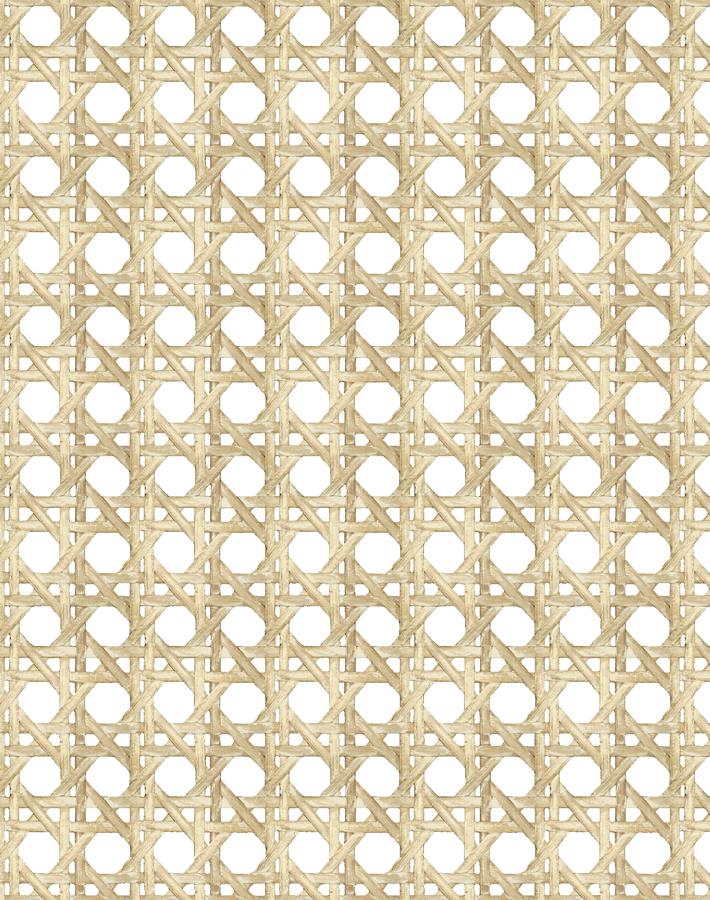 'Faux Large Caning' Wallpaper by Wallshoppe - Sesame