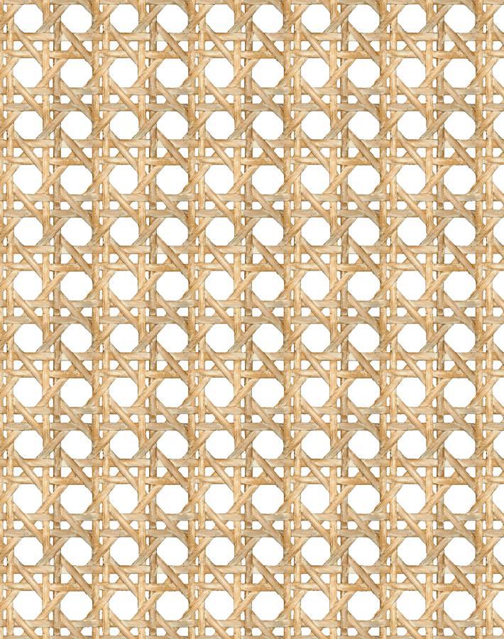 'Faux Large Caning' Wallpaper by Wallshoppe - Wicker