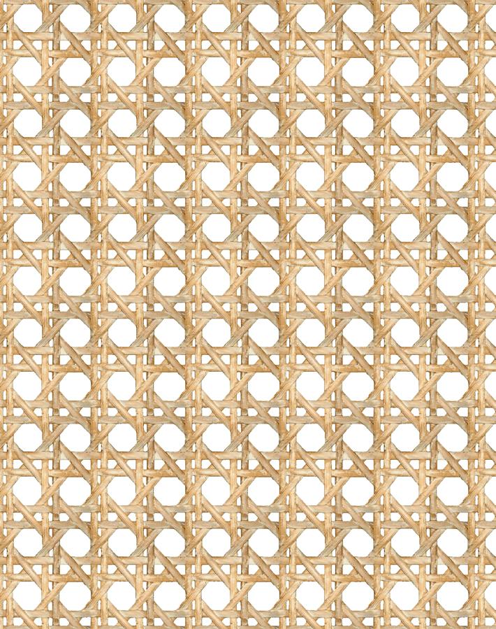 'Faux Large Caning' Wallpaper by Wallshoppe - Wicker