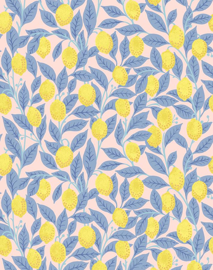 lemons-pink-lemonade