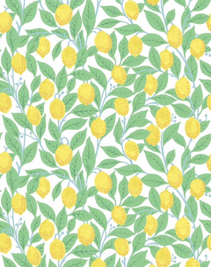 'Lemons' Wallpaper by Nathan Turner - White