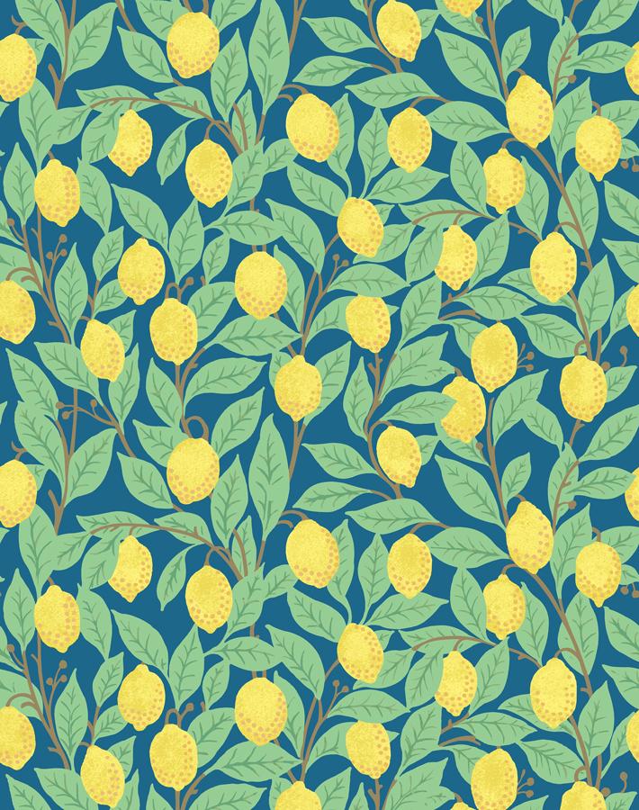 lemons-cadet-blue