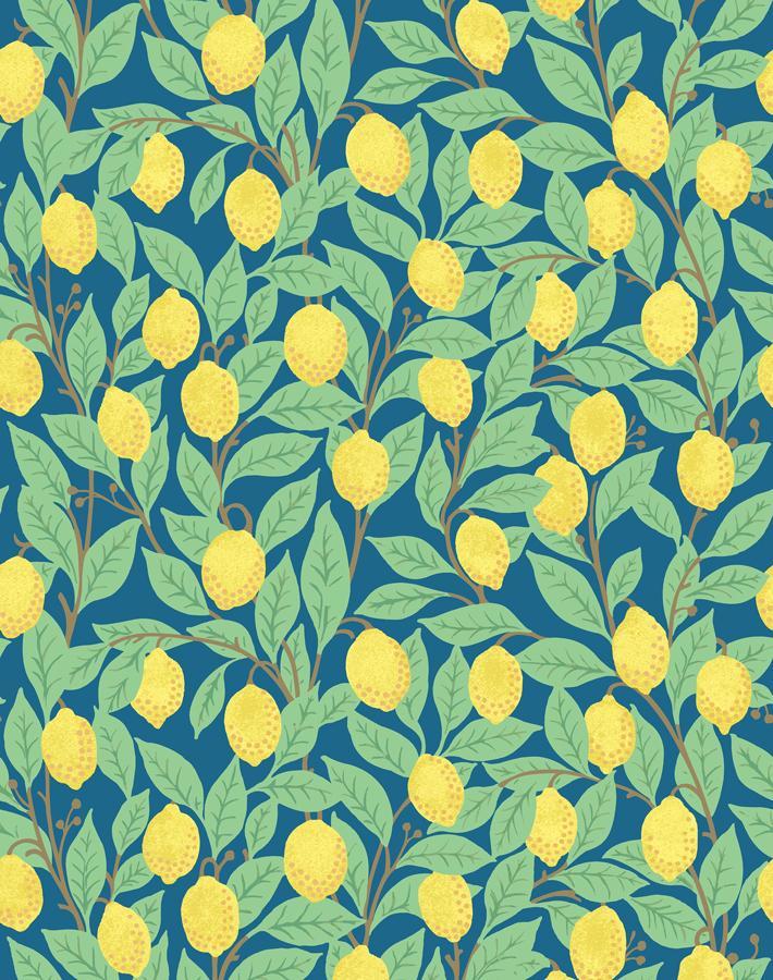 'Lemons' Wallpaper by Nathan Turner - Cadet Blue