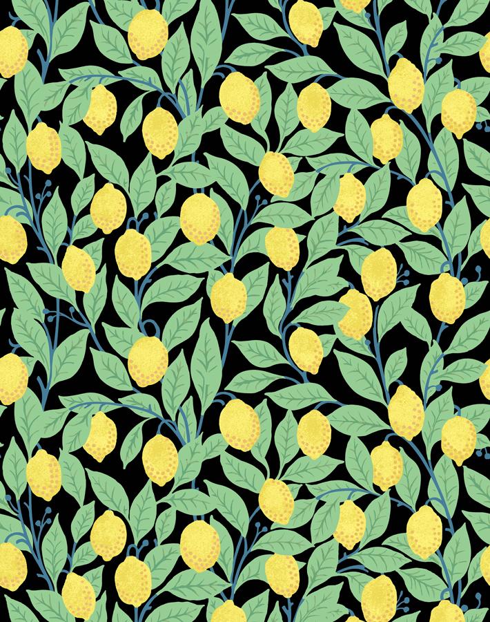 'Lemons' Wallpaper by Nathan Turner - Onyx