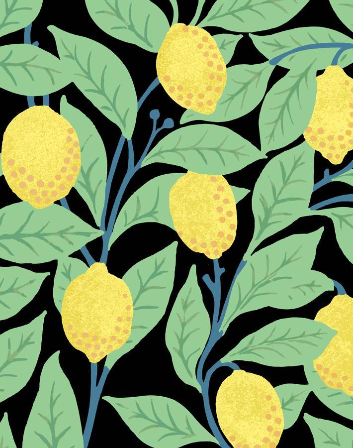 'Lemons' Wallpaper by Nathan Turner - Onyx