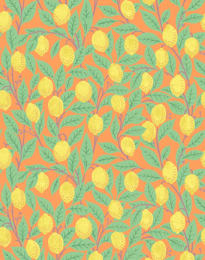 lemons-orange