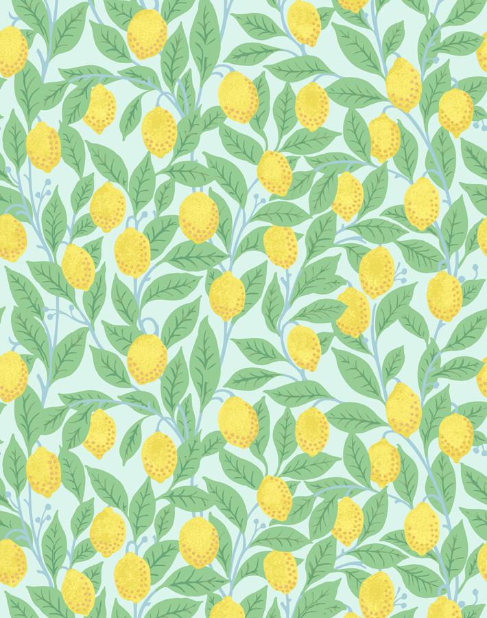 lemons-robins-egg