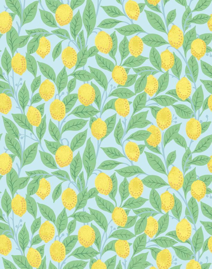 lemons-sky