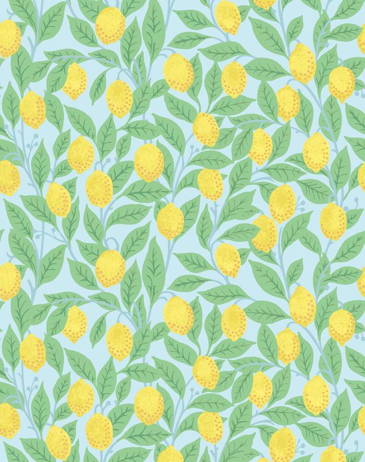 'Lemons' Wallpaper by Nathan Turner - Sky