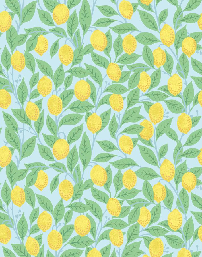 lemons-sky