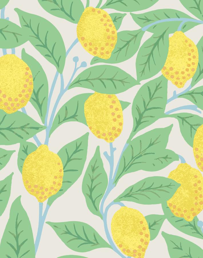 lemons-stone