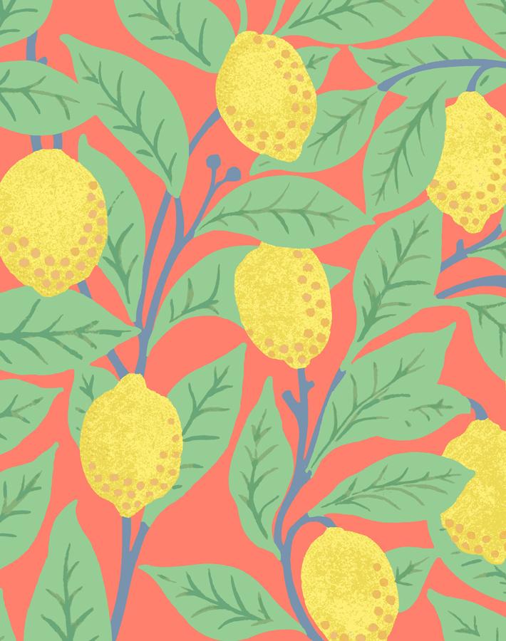 lemons watermelon