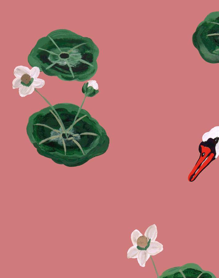 'Lily Pad Lake' Wallpaper by Carly Beck - Rose