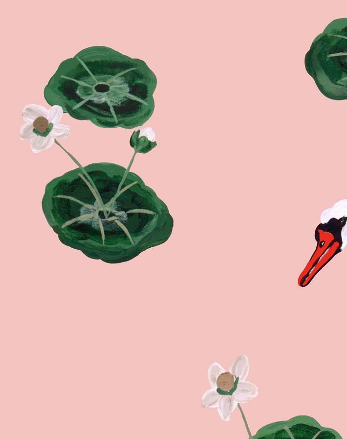 'Lily Pad Lake' Wallpaper by Carly Beck - Pink