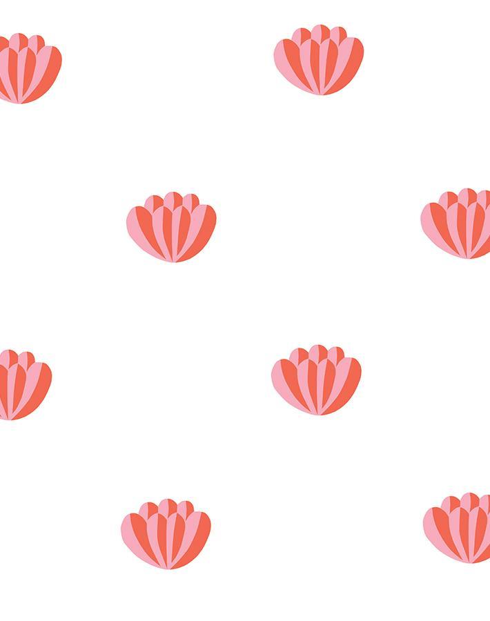 lotus-watermelon