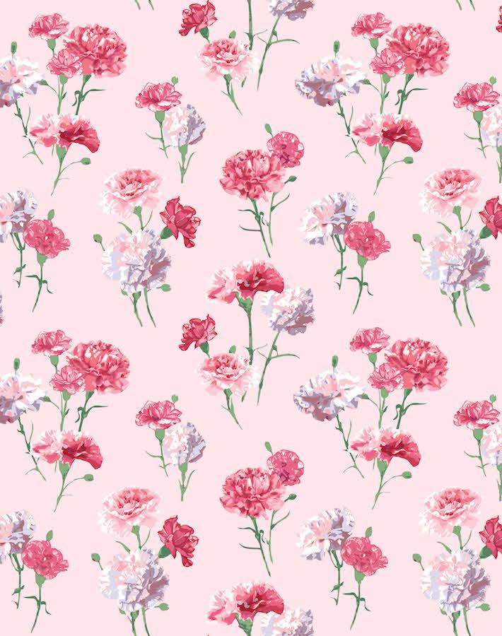 'Mamas Favorite' Wallpaper by Nathan Turner - Pink