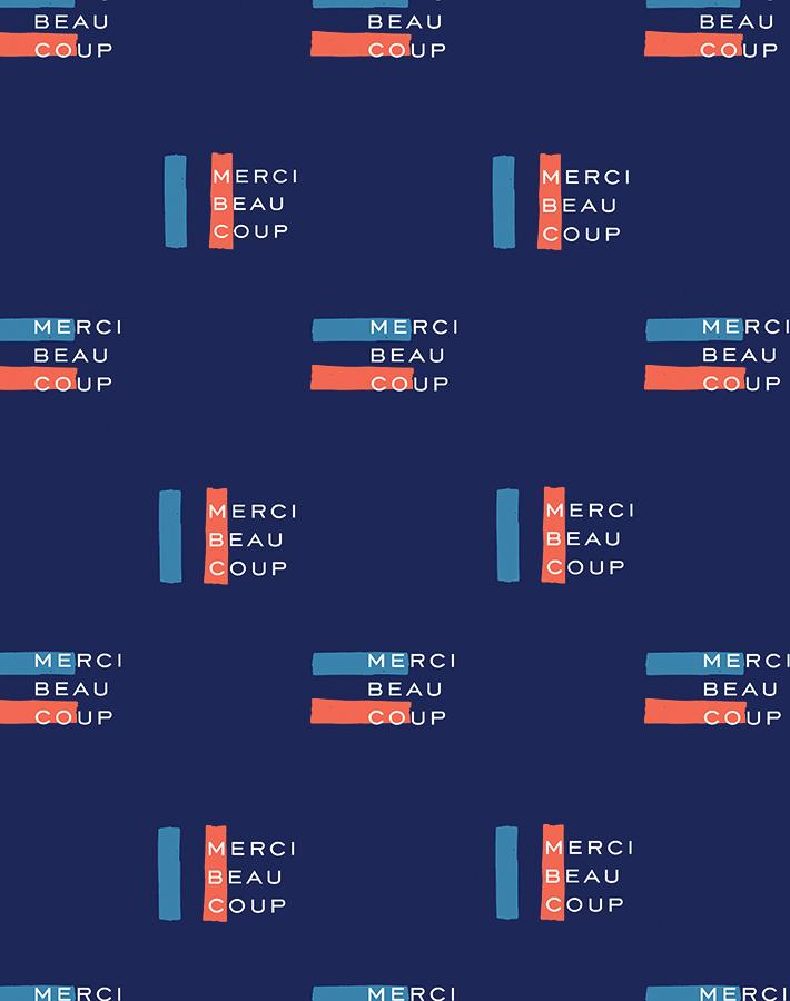merci-flag-navy