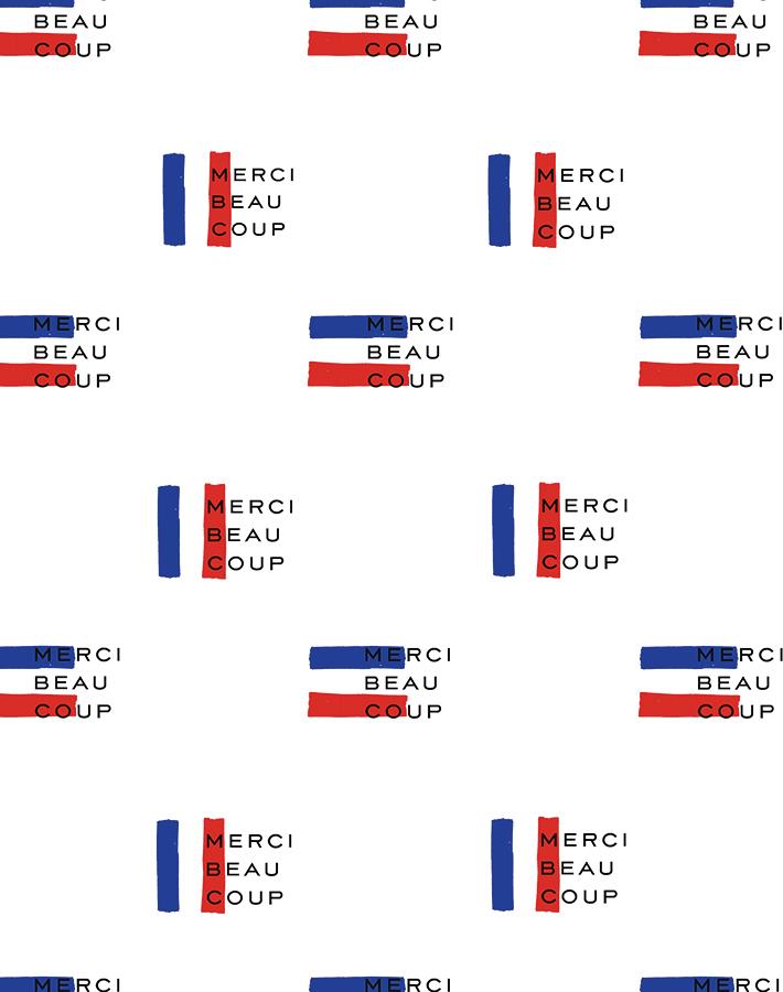 merci-flag-white