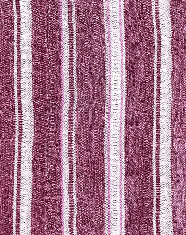 monroe-street-plum