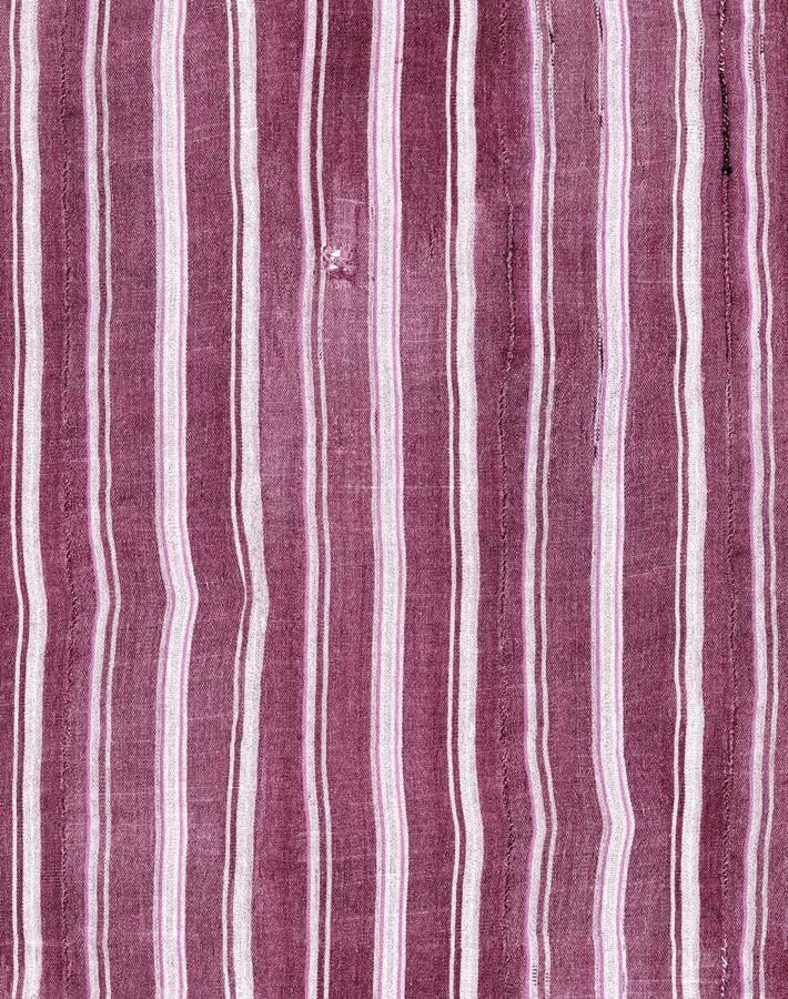 monroe-street-plum