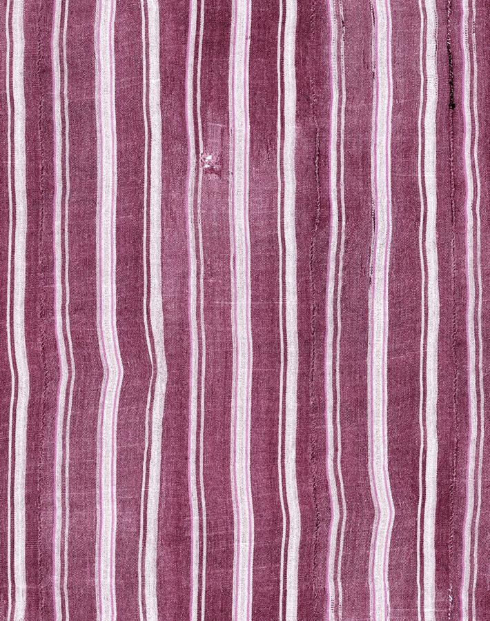 monroe-street-plum