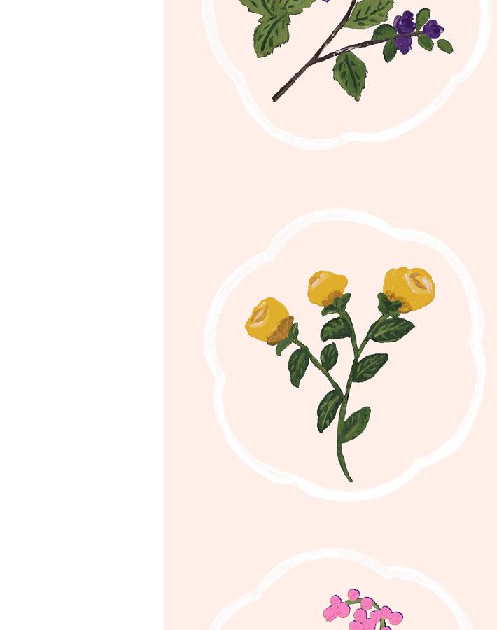montaigne-stripe-peach-wallpaper-by-carly-beck