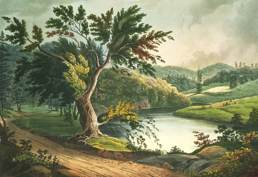 jessup landing removable mural