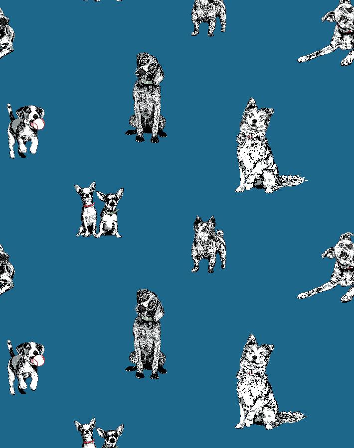 mutts-cadet-blue