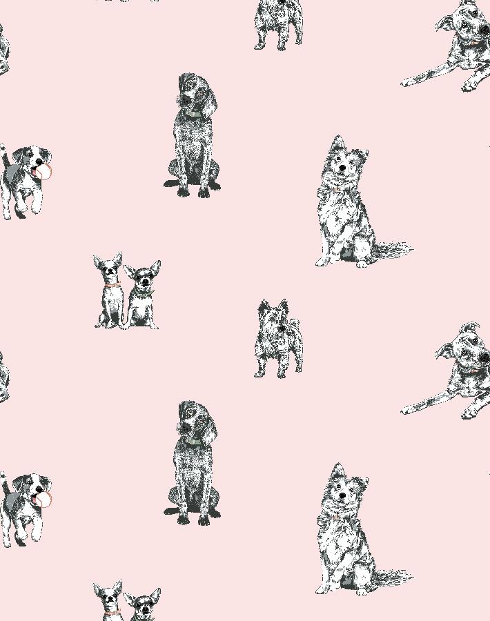 'Mutts' Wallpaper by Nathan Turner - Pink