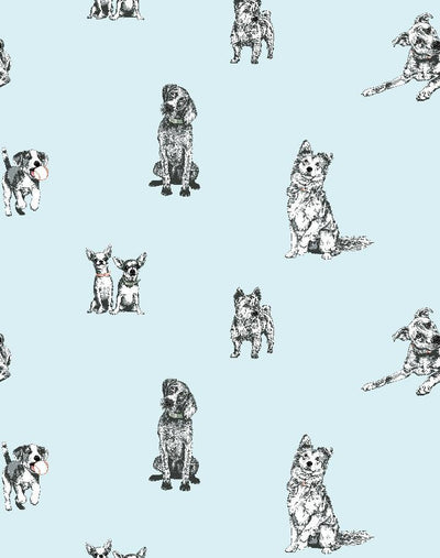 mutts sky