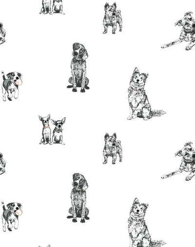 mutts white