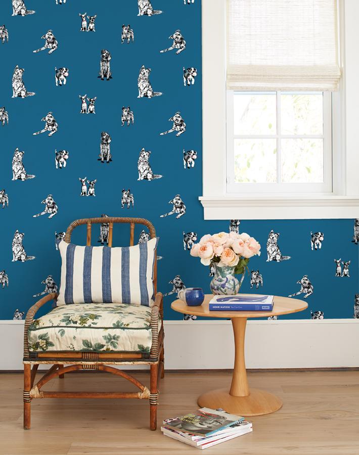mutts-cadet-blue