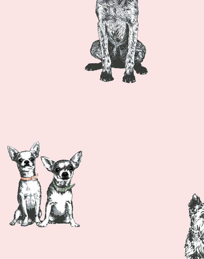 'Mutts' Wallpaper by Nathan Turner - Pink