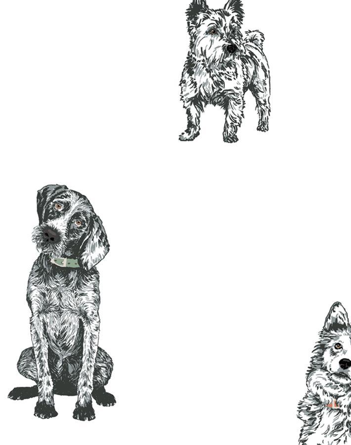 mutts-white