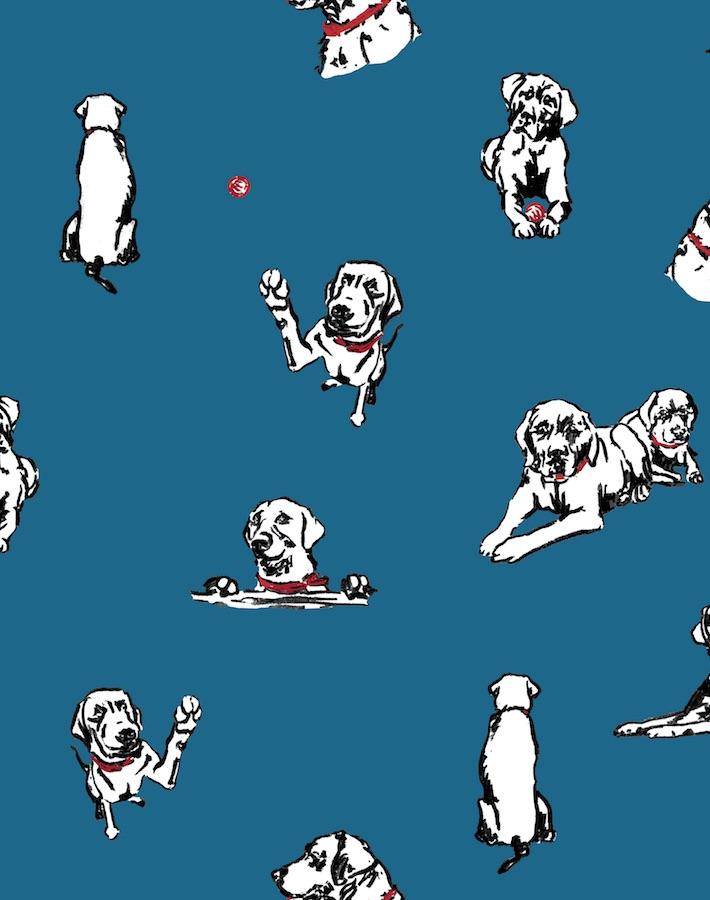 nacho-toile-cadet-blue