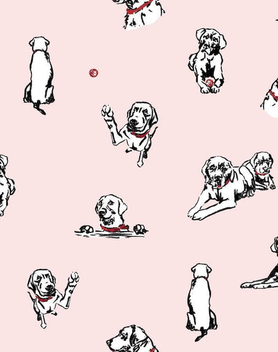 nacho toile pink